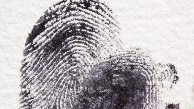 付费陷阱与广告识别:97622.com 使用中最 配图